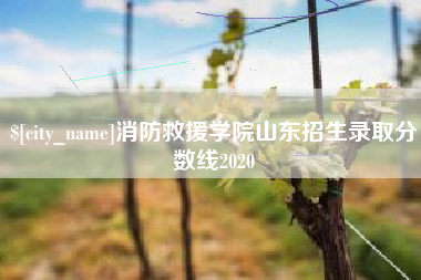 泸州消防救援学院山东招生录取分数线2020