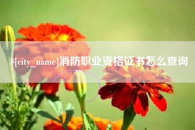 泸州消防职业资格证书怎么查询