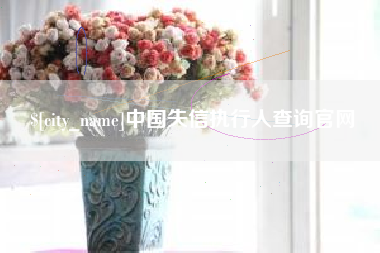 泸州中国失信执行人查询官网