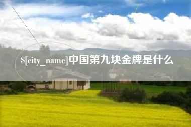 泸州中国第九块金牌是什么