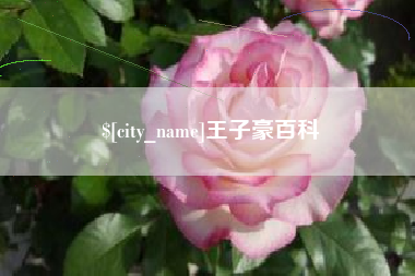 泸州王子豪百科