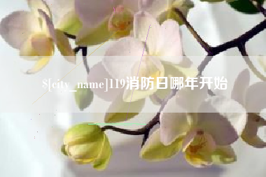 泸州119消防日哪年开始