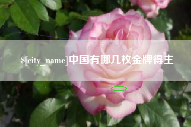 泸州中国有哪几枚金牌得主