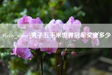泸州男子五千米世界冠军奖金多少