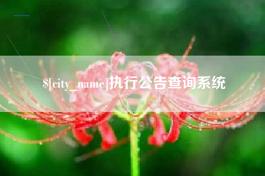 泸州执行公告查询系统