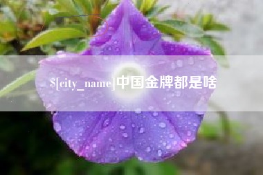 泸州中国金牌都是啥