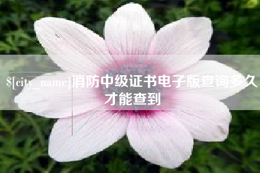 泸州消防中级证书电子版查询多久才能查到