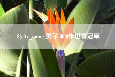 泸州男子5000米世界冠军