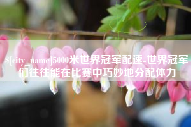 泸州5000米世界冠军配速-世界冠军们往往能在比赛中巧妙地分配体力