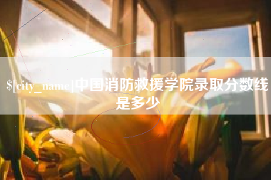 泸州中国消防救援学院录取分数线是多少