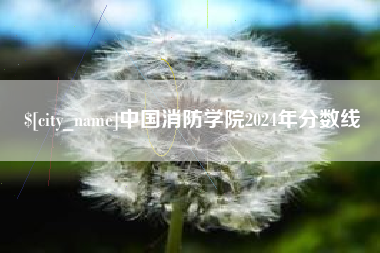 泸州中国消防学院2024年分数线