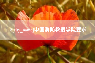 泸州中国消防救援学院要求