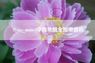 泸州中国地图全图带省份