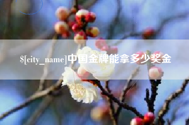 泸州中国金牌能拿多少奖金