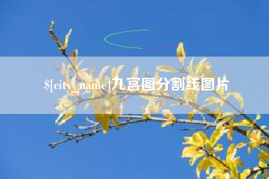 泸州九宫图分割线图片