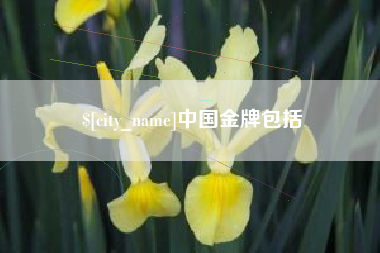 泸州中国金牌包括
