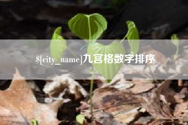 泸州九宫格数字排序