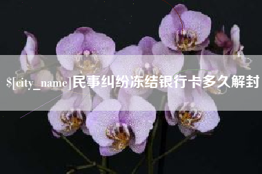 泸州民事纠纷冻结银行卡多久解封