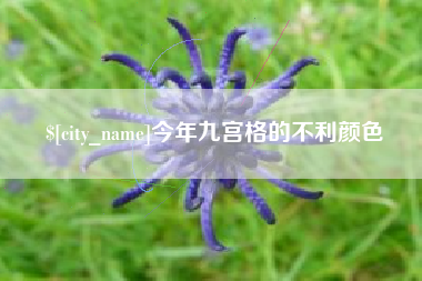 泸州今年九宫格的不利颜色
