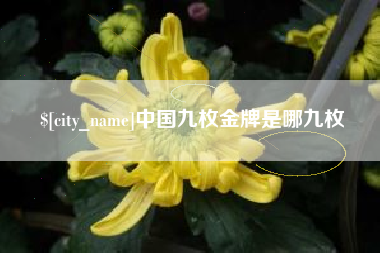 泸州中国九枚金牌是哪九枚