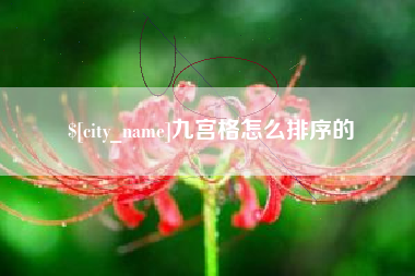 泸州九宫格怎么排序的