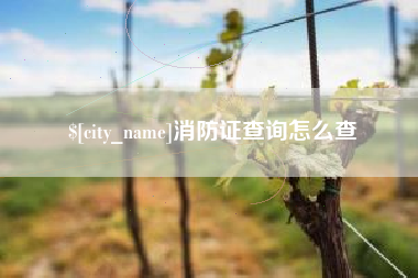 泸州消防证查询怎么查