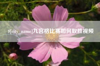 泸州九宫格比赛如何取胜视频