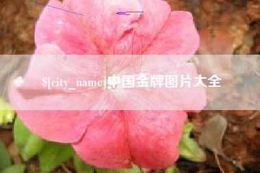 泸州中国金牌图片大全