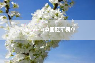泸州中国冠军榜单