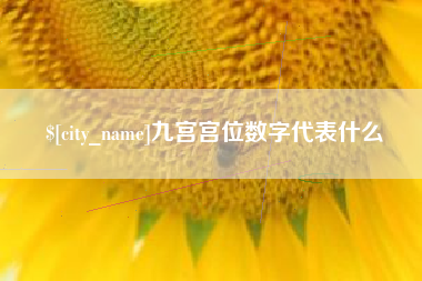 泸州九宫宫位数字代表什么