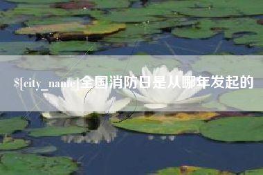 泸州全国消防日是从哪年发起的