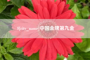 泸州中国金牌第九金