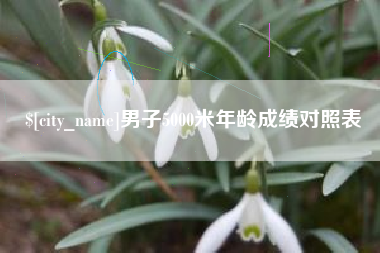 泸州男子5000米年龄成绩对照表