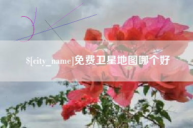 泸州免费卫星地图哪个好