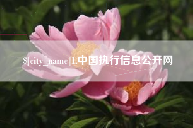 泸州1.中国执行信息公开网