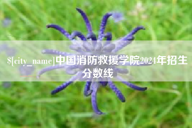 泸州中国消防救援学院2024年招生分数线