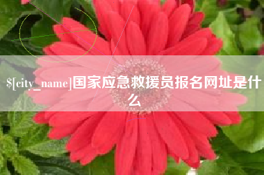 泸州国家应急救援员报名网址是什么