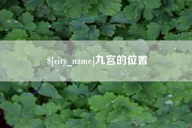 泸州九宫的位置