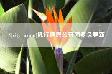 泸州执行信息公开网多久更新