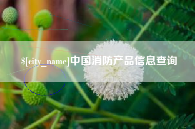 泸州中国消防产品信息查询