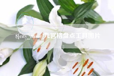 泸州九宫格盘点工具图片