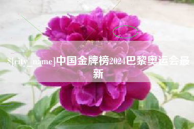 泸州中国金牌榜2024巴黎奥运会最新