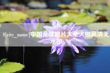 泸州中国金牌图片大全大图高清无水印
