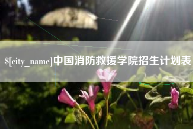 泸州中国消防救援学院招生计划表