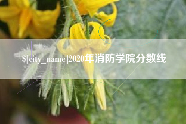 泸州2020年消防学院分数线