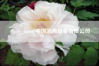泸州中国消防设备有限公司
