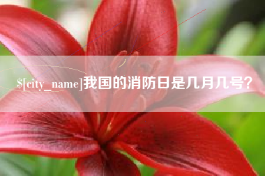 泸州我国的消防日是几月几号？