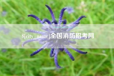 泸州全国消防招考网