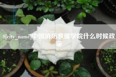 泸州中国消防救援学院什么时候政审