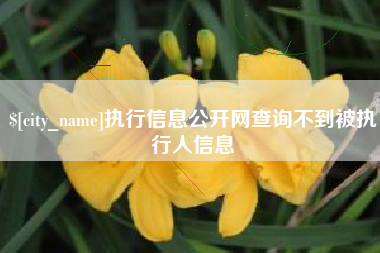 泸州执行信息公开网查询不到被执行人信息
